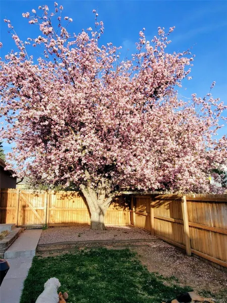 1996 S Downing Street Denver CO 80210 MLS #REC3080802 04222026192302 800 43