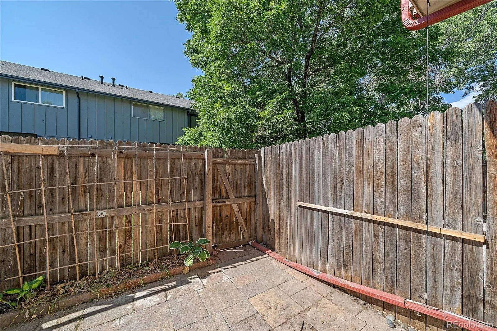 7404 S Zephyr Court Littleton CO 80128 | MLS #REC3082700 06162026172136 1600 29