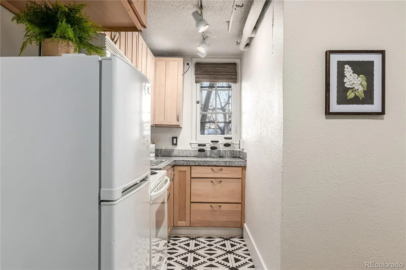 1024 E 14th Avenue #11 Denver CO 80218 MLS #REC3089900 12032025003145 1600 9