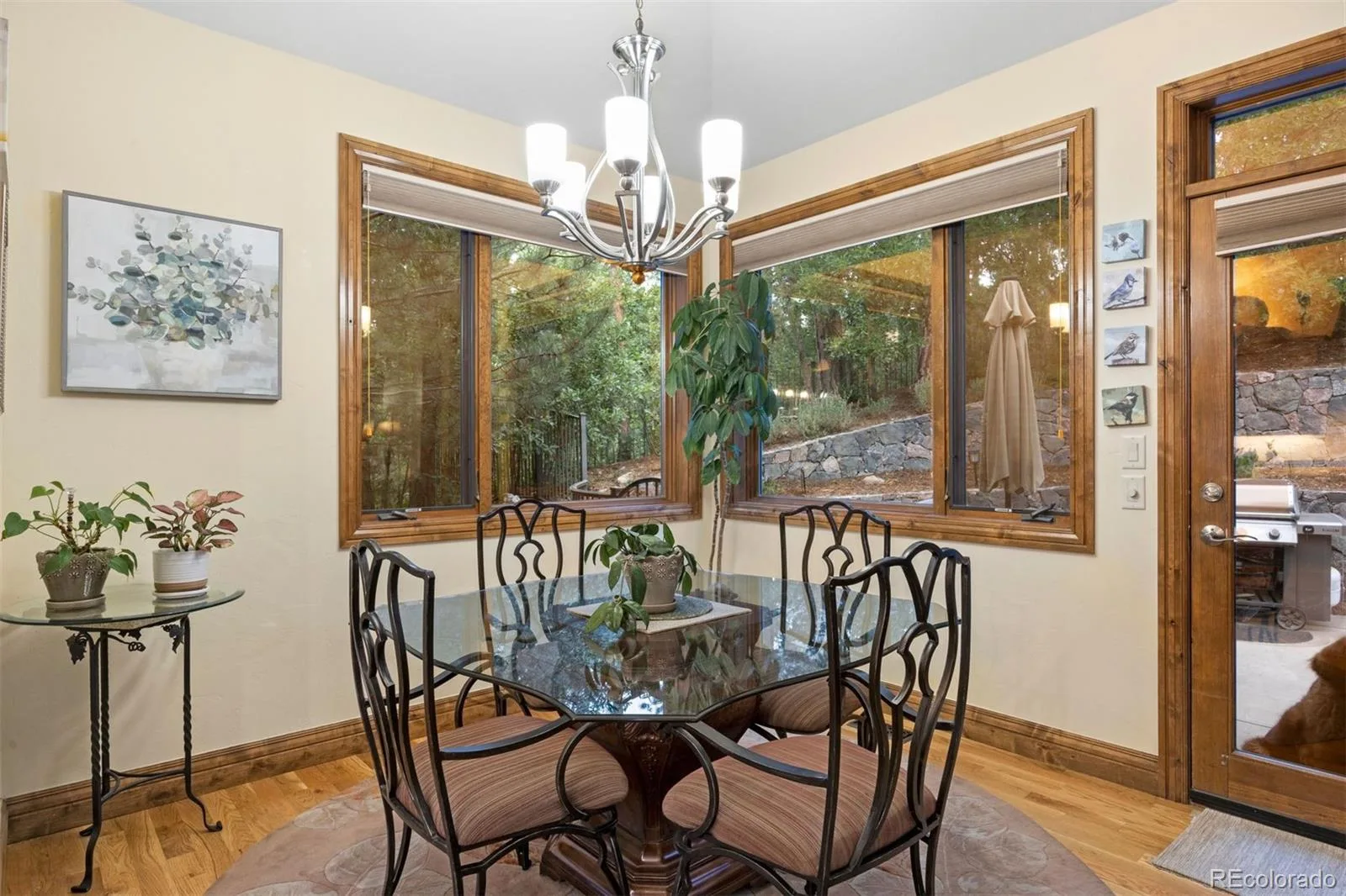 5276 Red Pass Court Castle Rock CO 80108 MLS #REC3090423 07102026233747 1600 16