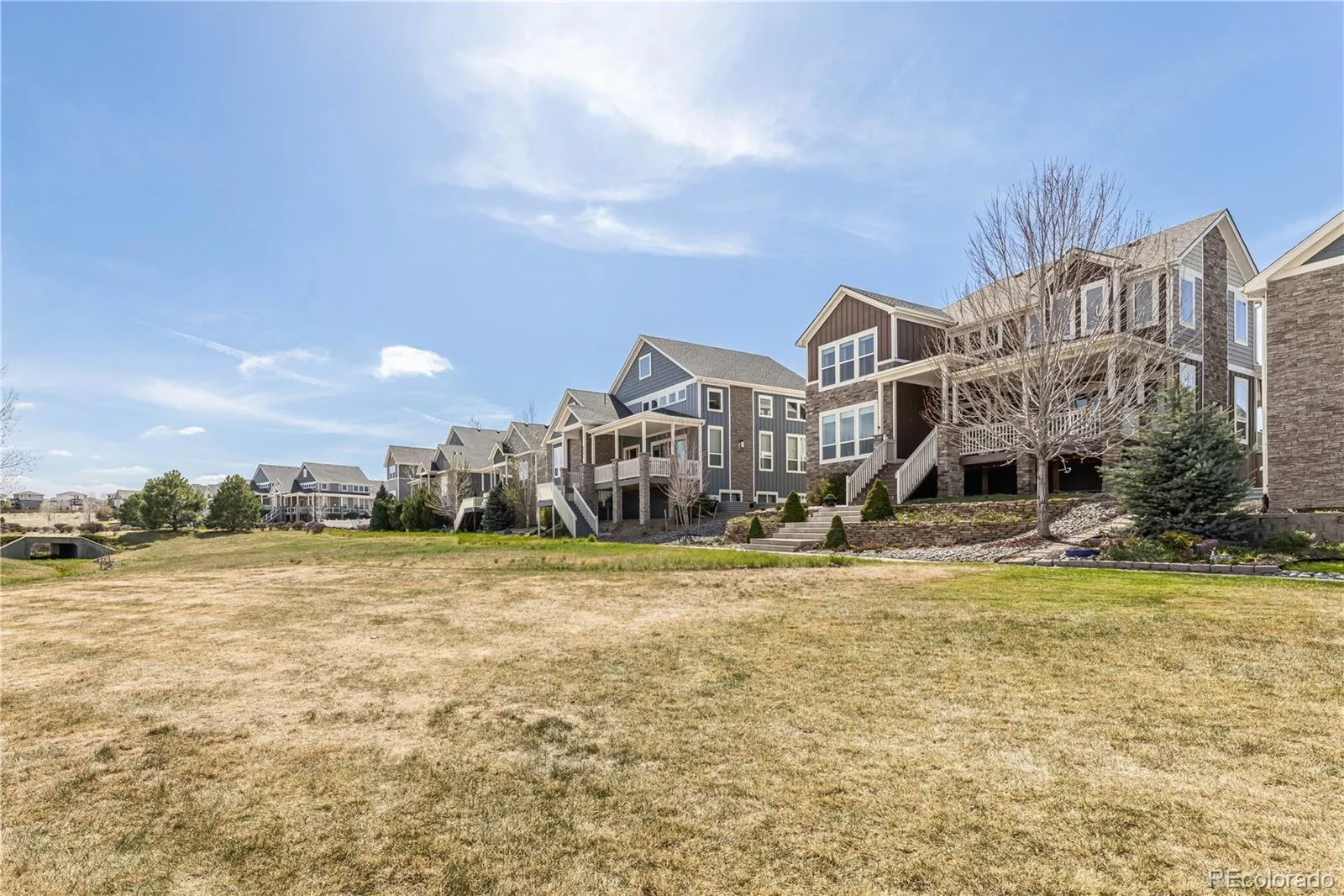 4378 Fell Mist Way Castle Rock CO 80109 MLS #REC3090425 04222026183855 1600 2
