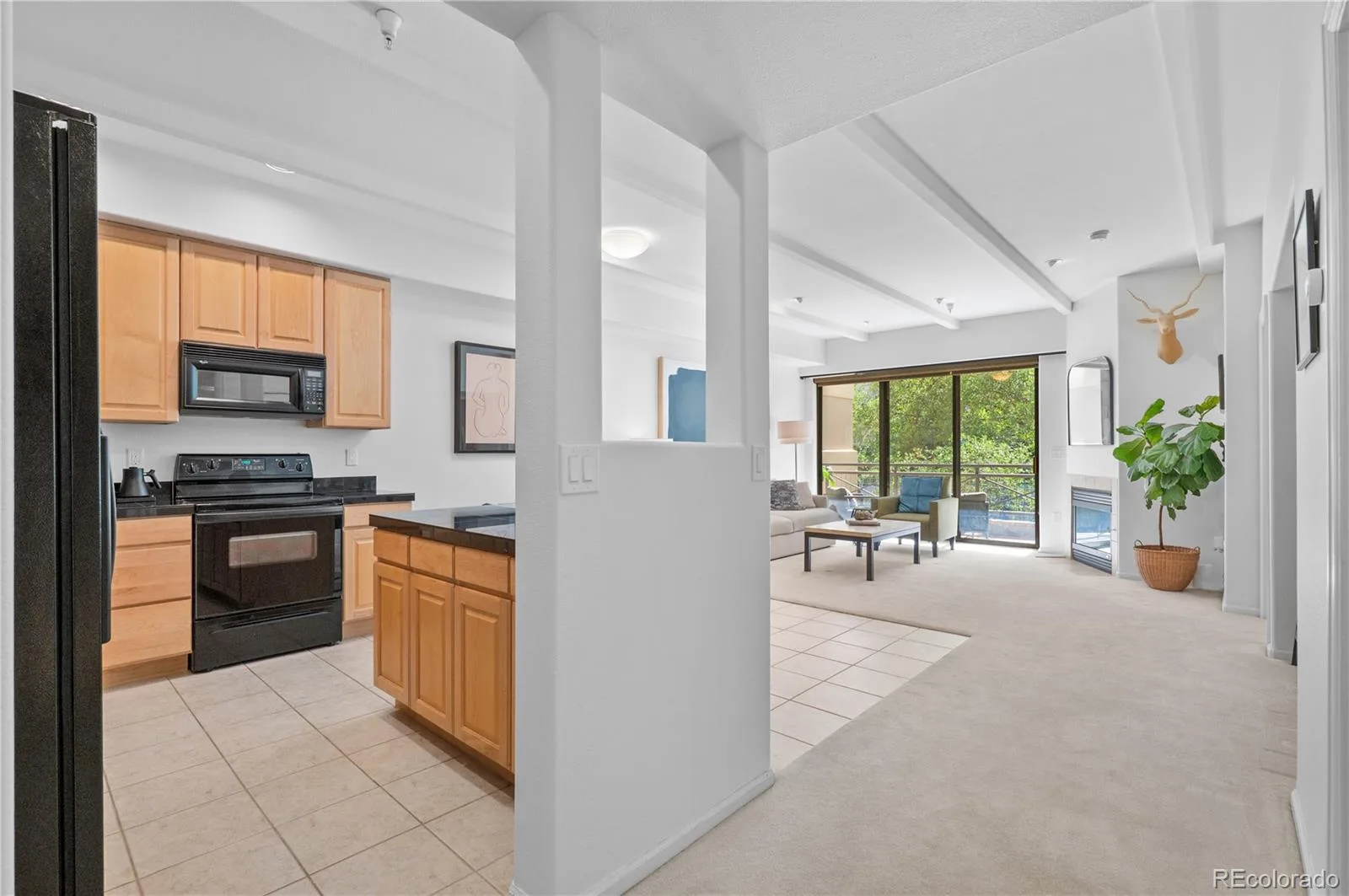 180 Cook Street #203 Denver CO 80206 MLS #REC3092451 06232026175952 1600 8