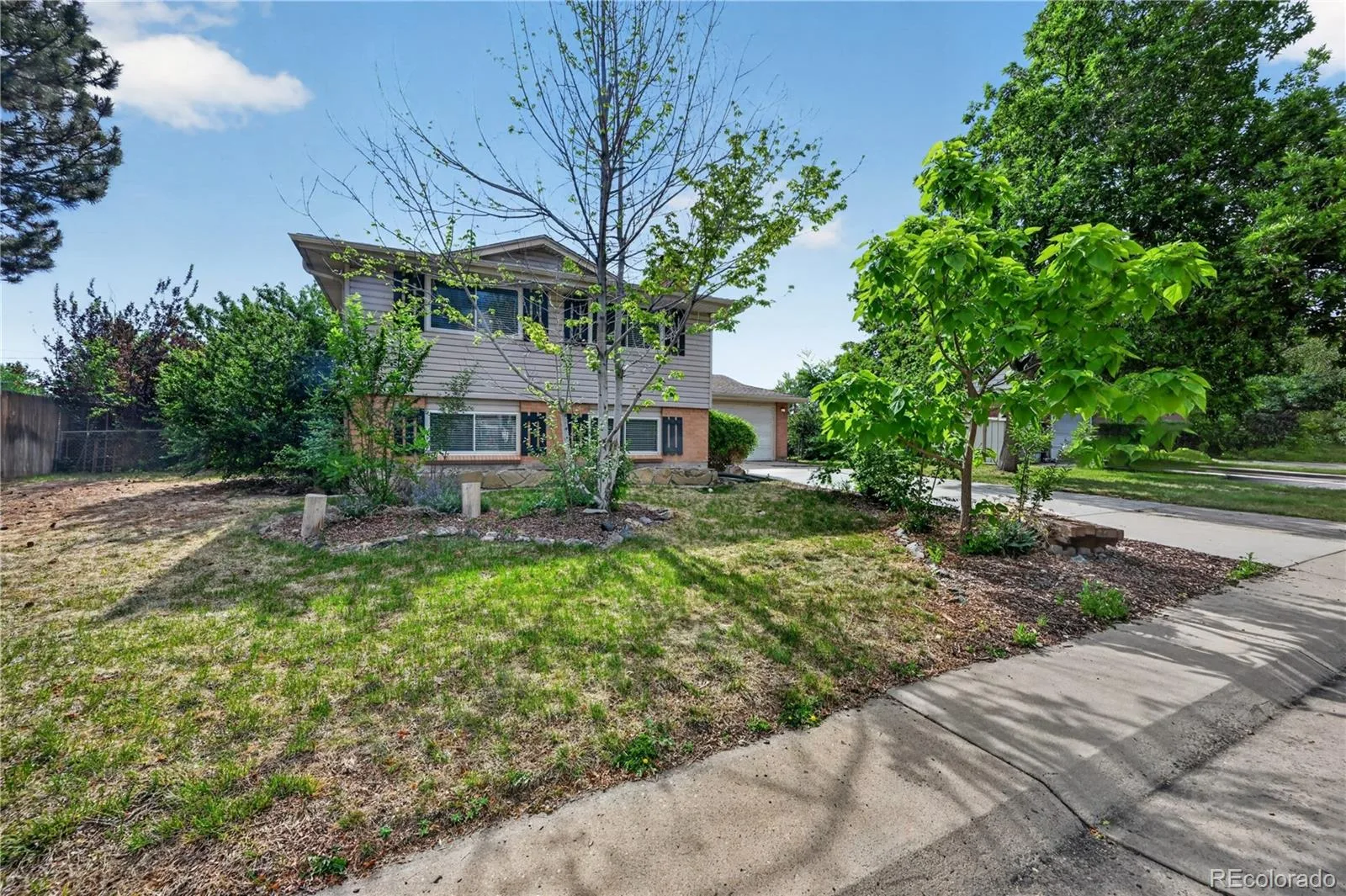 6258 S Madison Drive Centennial CO 80121 MLS #REC3097560 06112026210233 1600 1