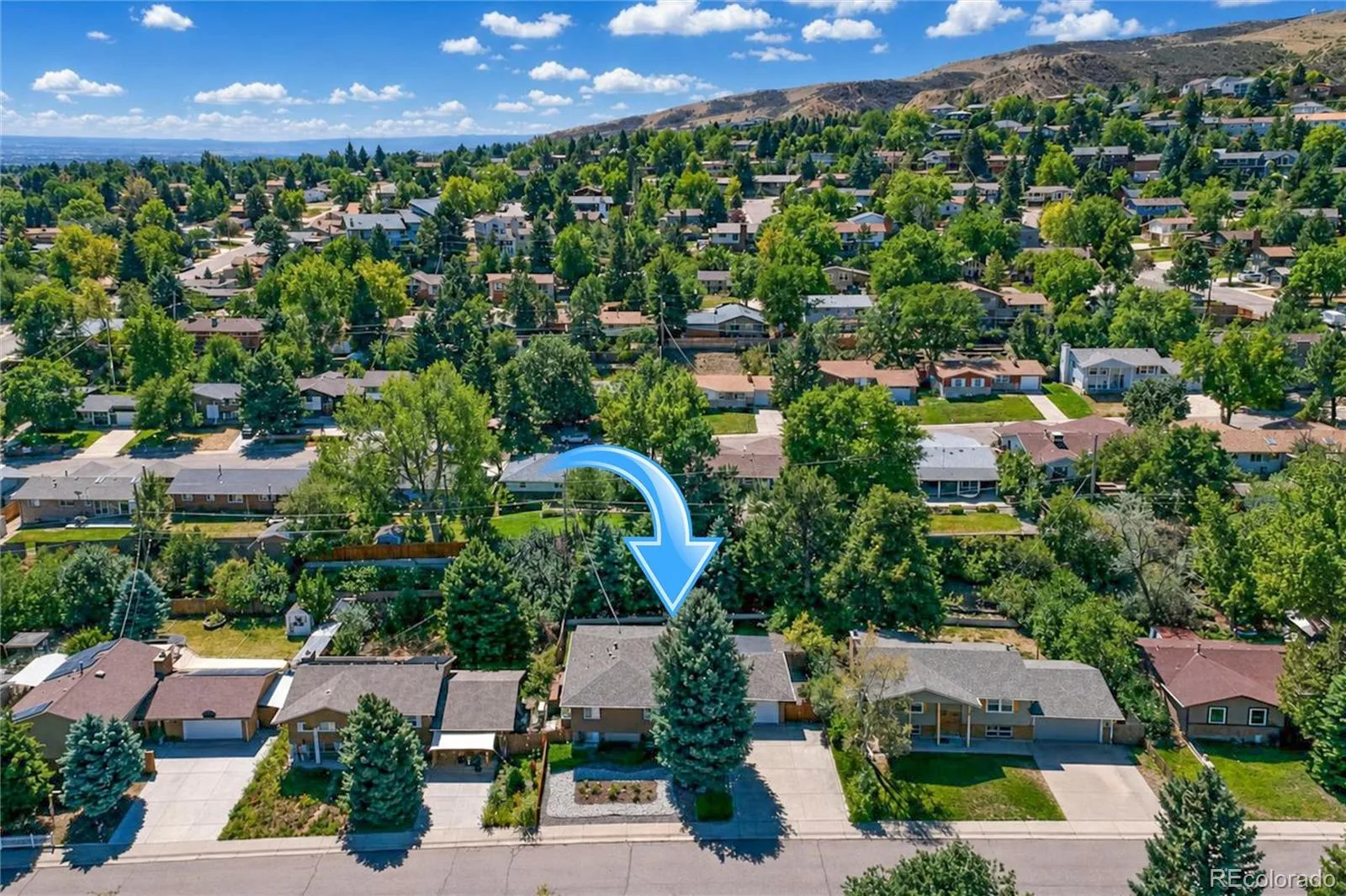 13782 W Dakota Avenue Denver CO 80228 | MLS #REC3104219 10072026203849 1600 48