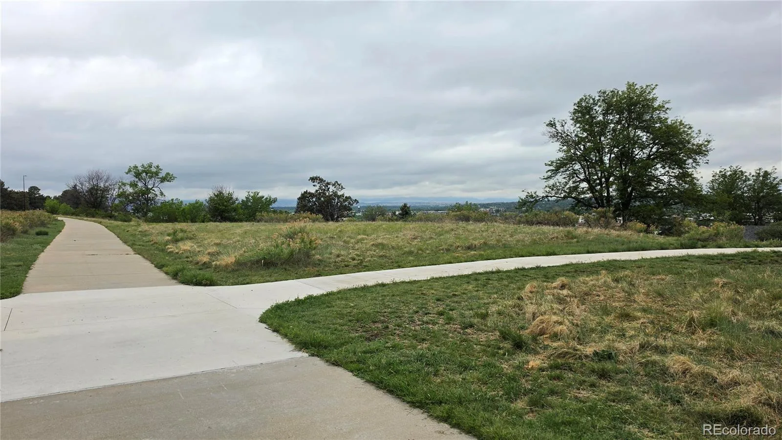 4860 Fenton Street Denver CO 80212 MLS #REC3105093 06092026001543 1600 27