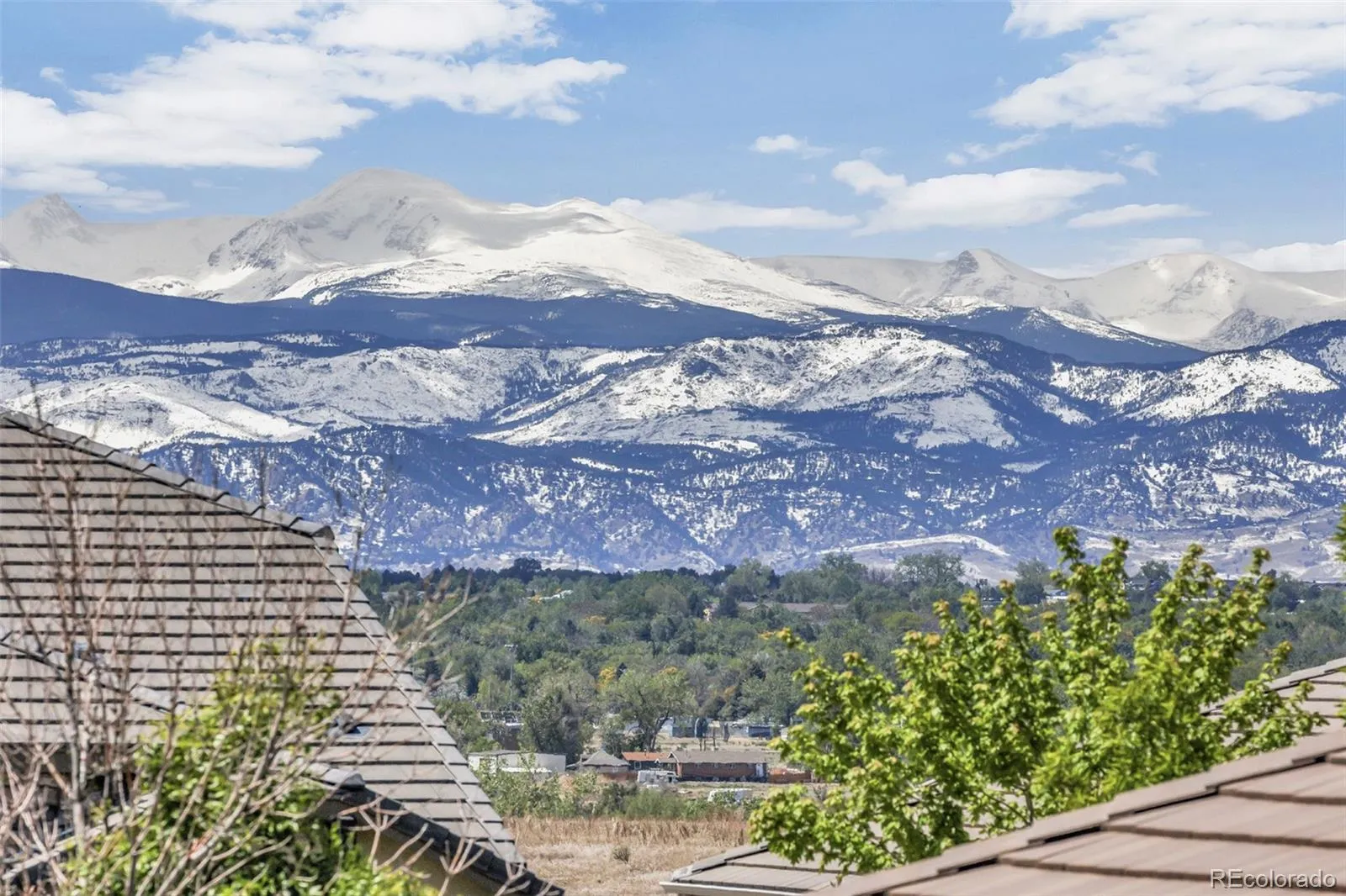 16023 Torreys Way Broomfield CO 80023 MLS #REC3107256 05092026020225 1600 38