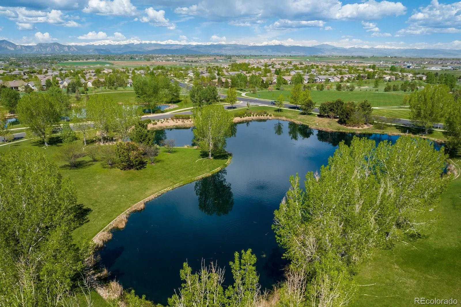 16023 Torreys Way Broomfield CO 80023 MLS #REC3107256 05092026020225 1600 46