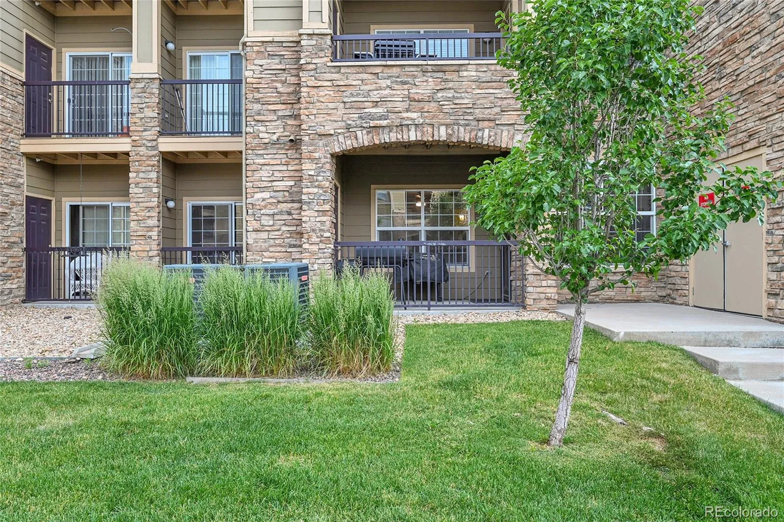 17442 Nature Walk Trail #105 Parker CO 80134 | MLS #REC3108803 05182026175403 1600 1