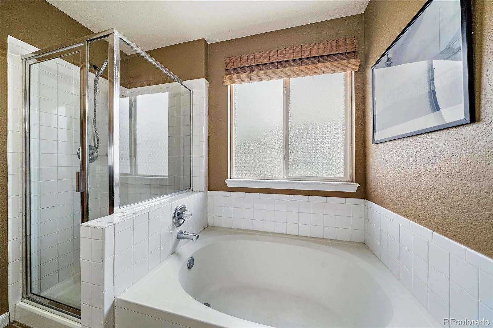 1895 Rough Court Castle Rock CO 80109 MLS #REC3113436 07032026021214 1600 22