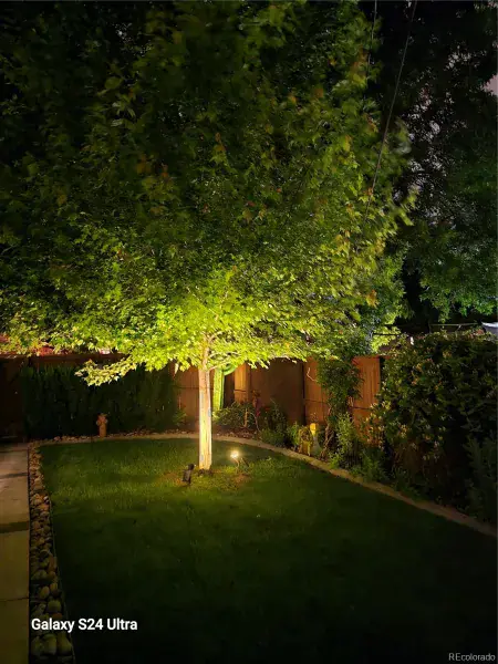 03062026014942 800 39