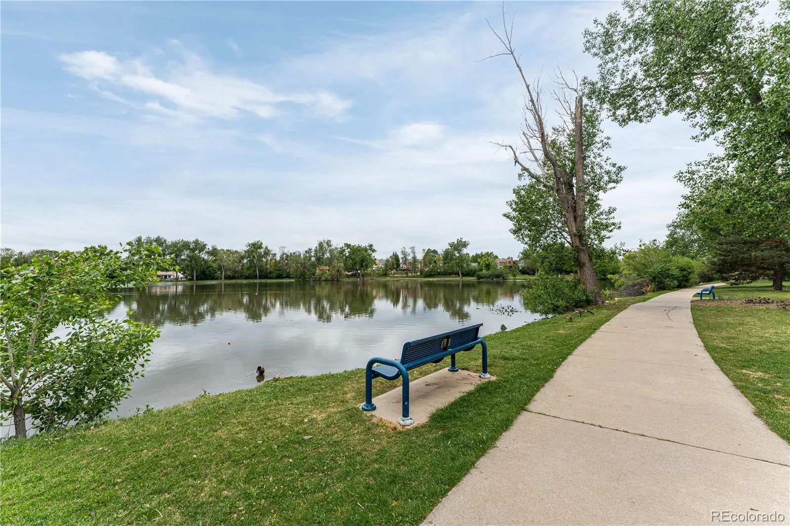 6282 Yank Court Arvada CO 80004 MLS #REC3130092 05212026140609 1600 30