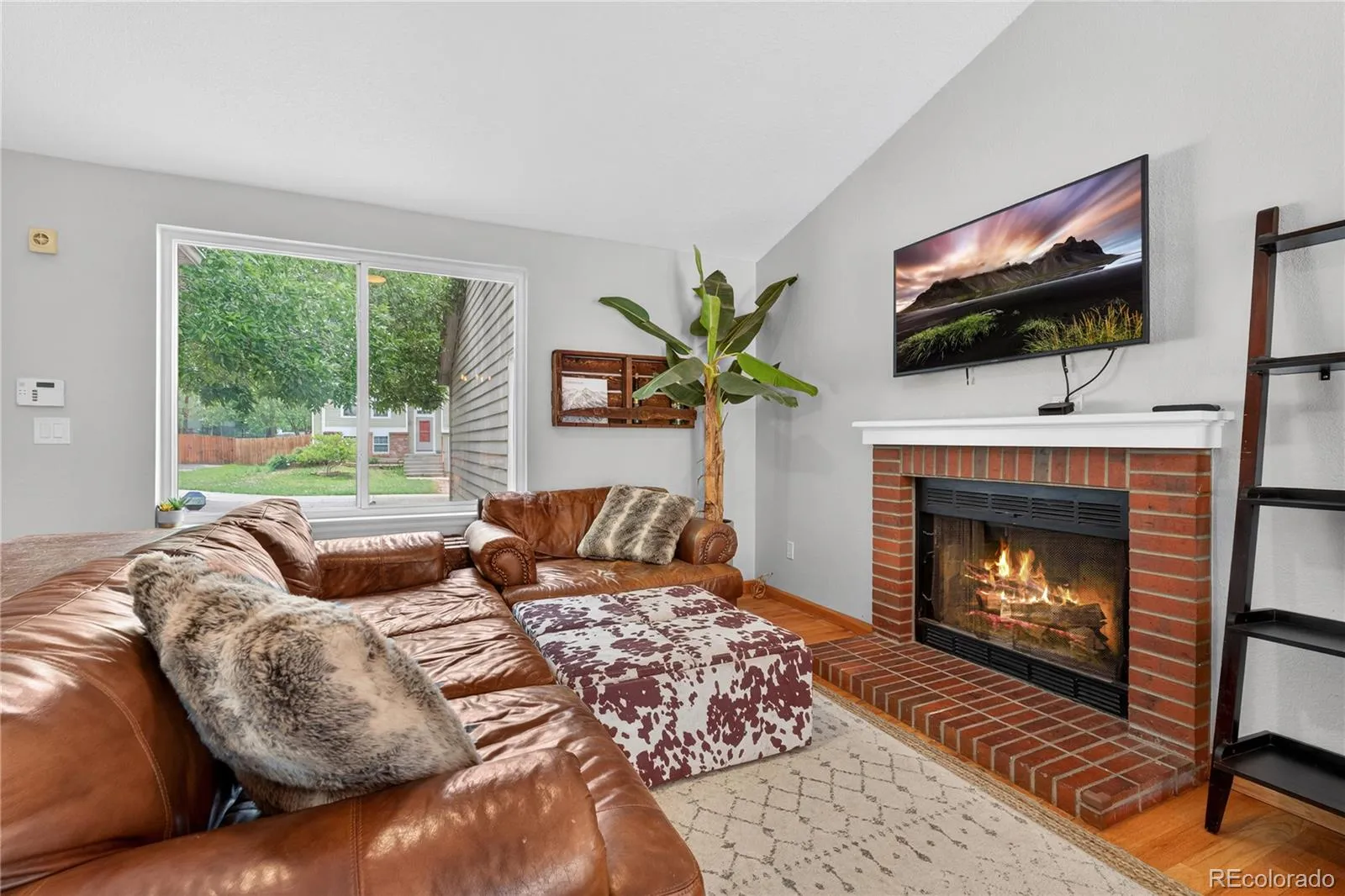 6282 Yank Court Arvada CO 80004 MLS #REC3130092 05212026140609 1600 5