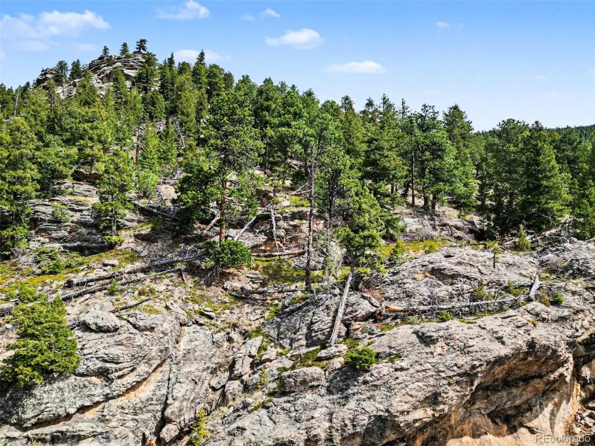 Spruce Court Evergreen CO 80439 | MLS #REC3138680 04232026192615 1200 15