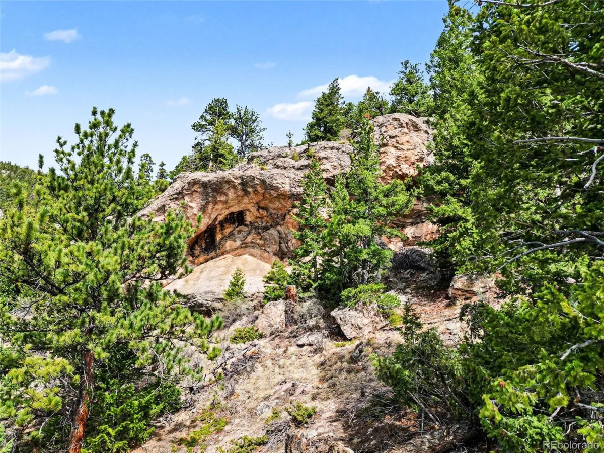 Spruce Court Evergreen CO 80439 | MLS #REC3138680 04232026192615 1200 17