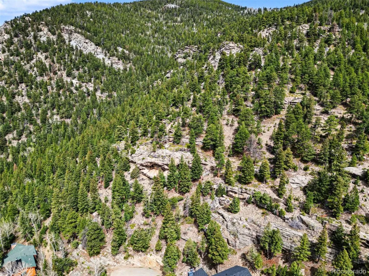 Spruce Court Evergreen CO 80439 | MLS #REC3138680 04232026192615 1200 4