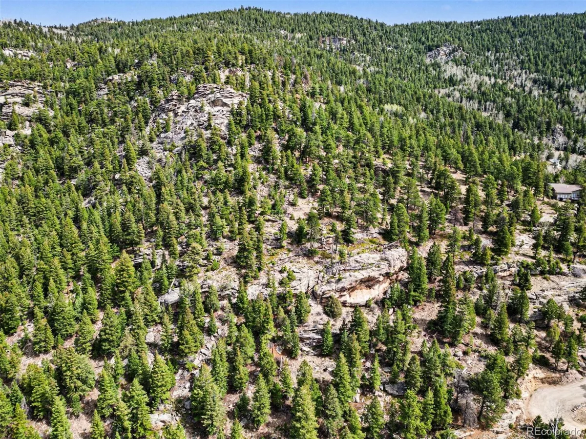 Spruce Court Evergreen CO 80439 | MLS #REC3138680 04232026192615 1200 5