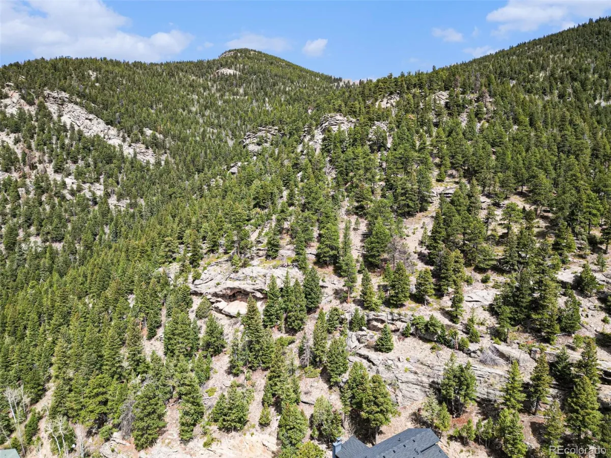 Spruce Court Evergreen CO 80439 | MLS #REC3138680 04232026192615 1200 6