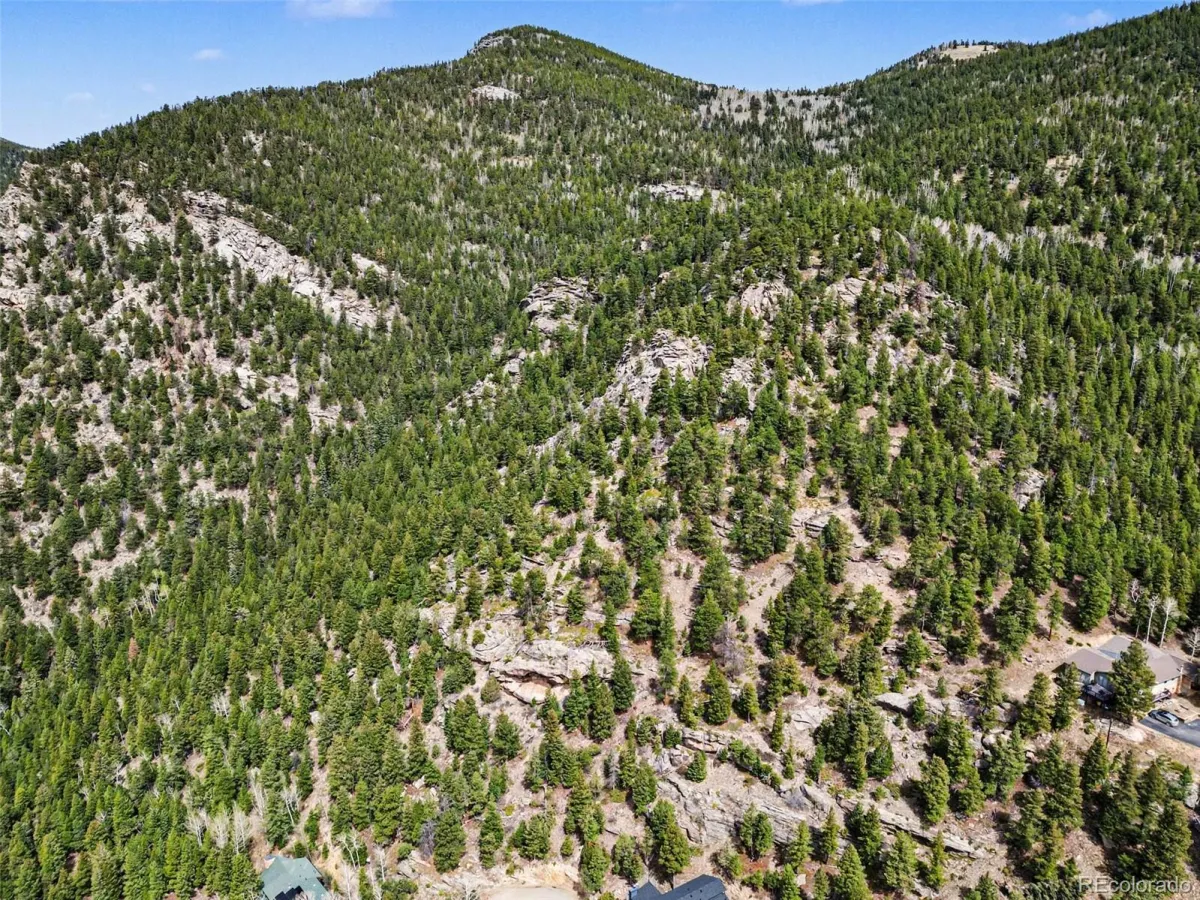 Spruce Court Evergreen CO 80439 | MLS #REC3138680 04232026192615 1200 8