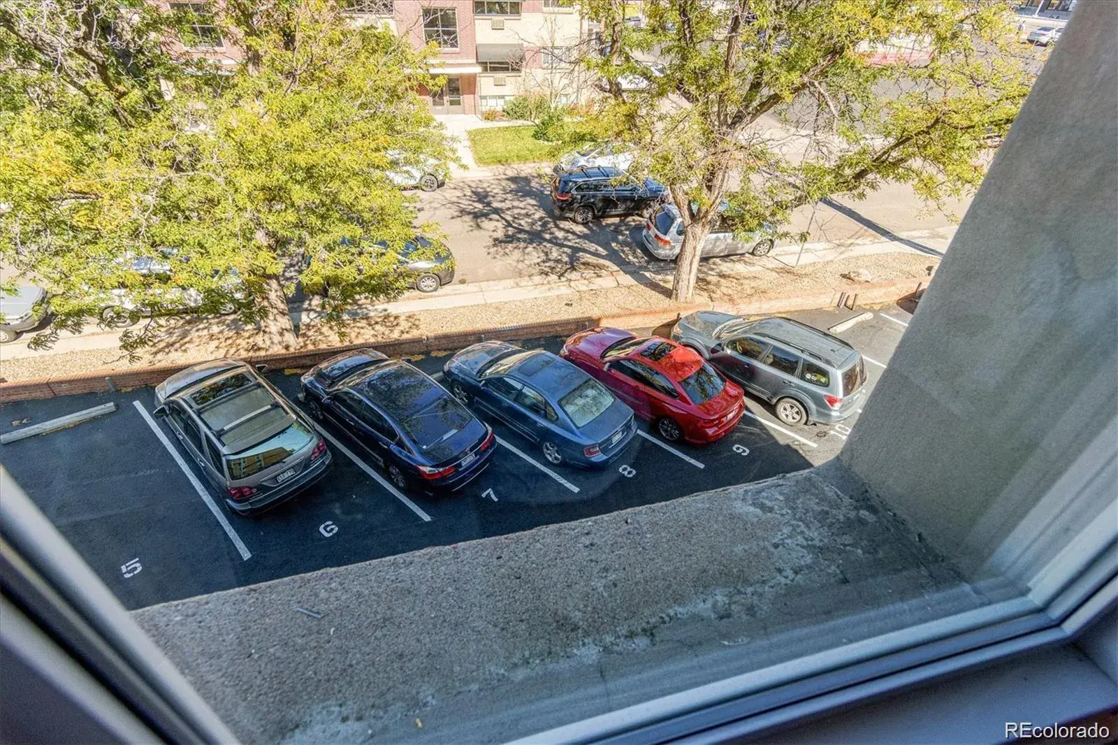2500 S York Street #401 Denver CO 80210 MLS #REC3141874 02252026224309 1600 20
