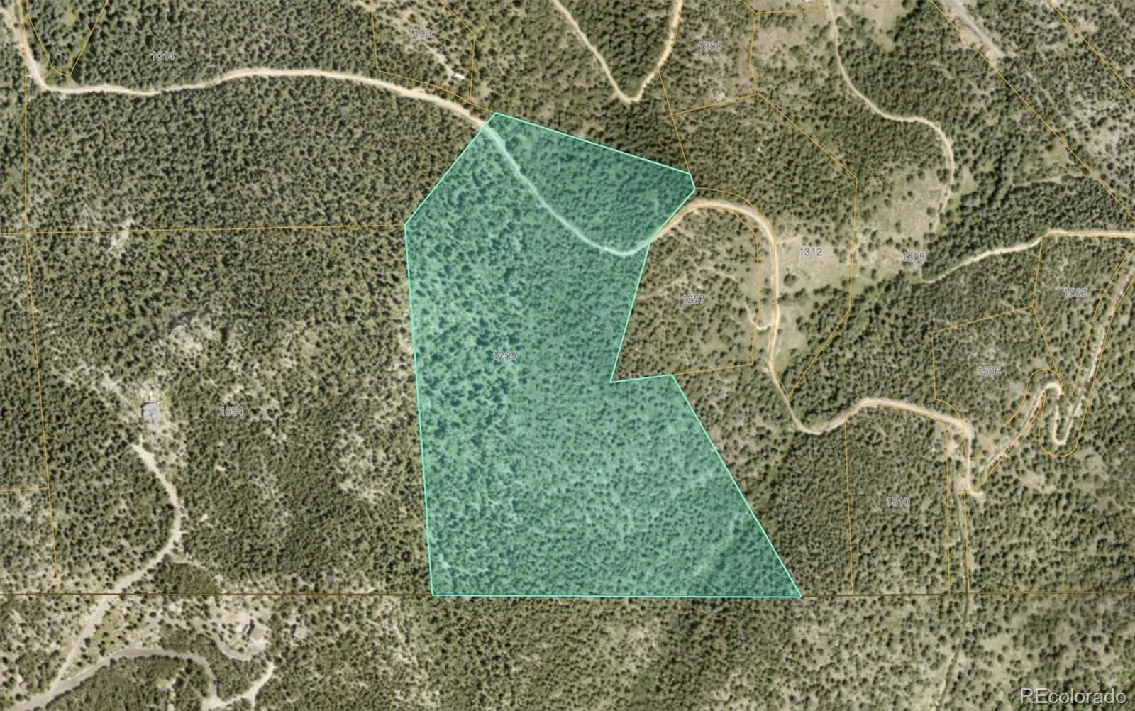 1259 Chute Road Golden CO 80403 | MLS #REC3141881 07082026221818 1600 10