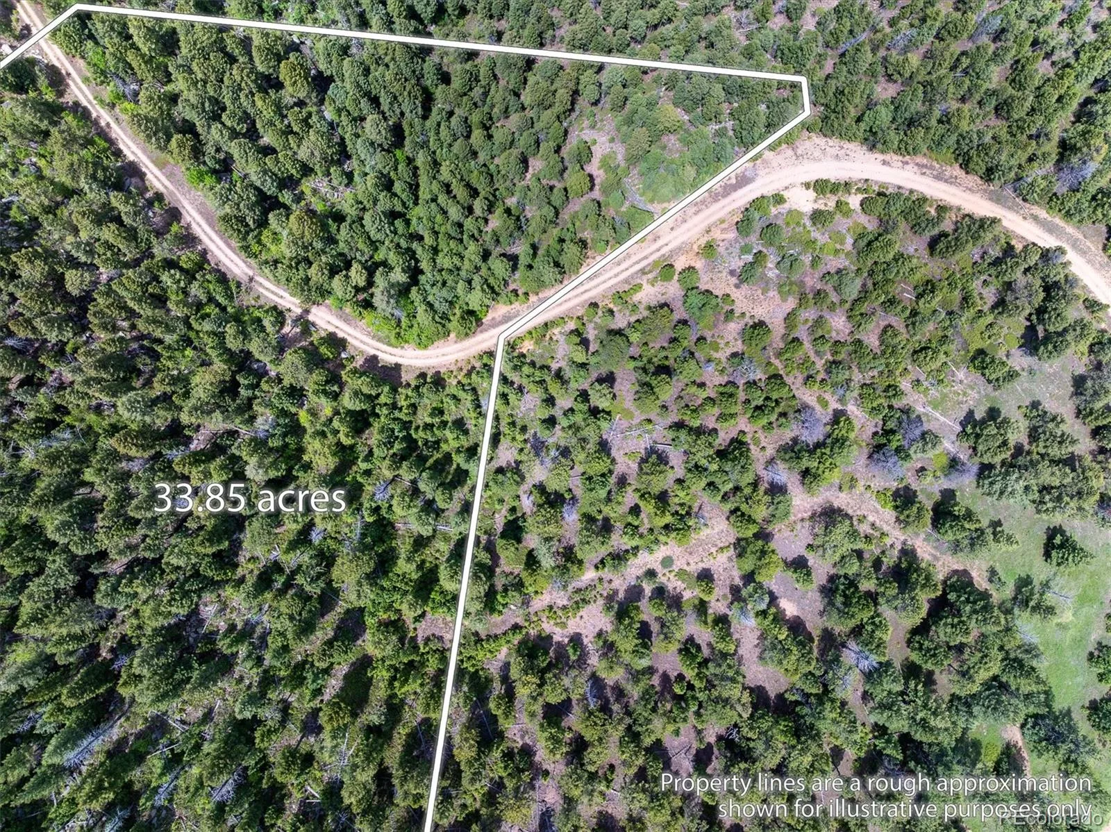 1259 Chute Road Golden CO 80403 | MLS #REC3141881 07082026221818 1600 12