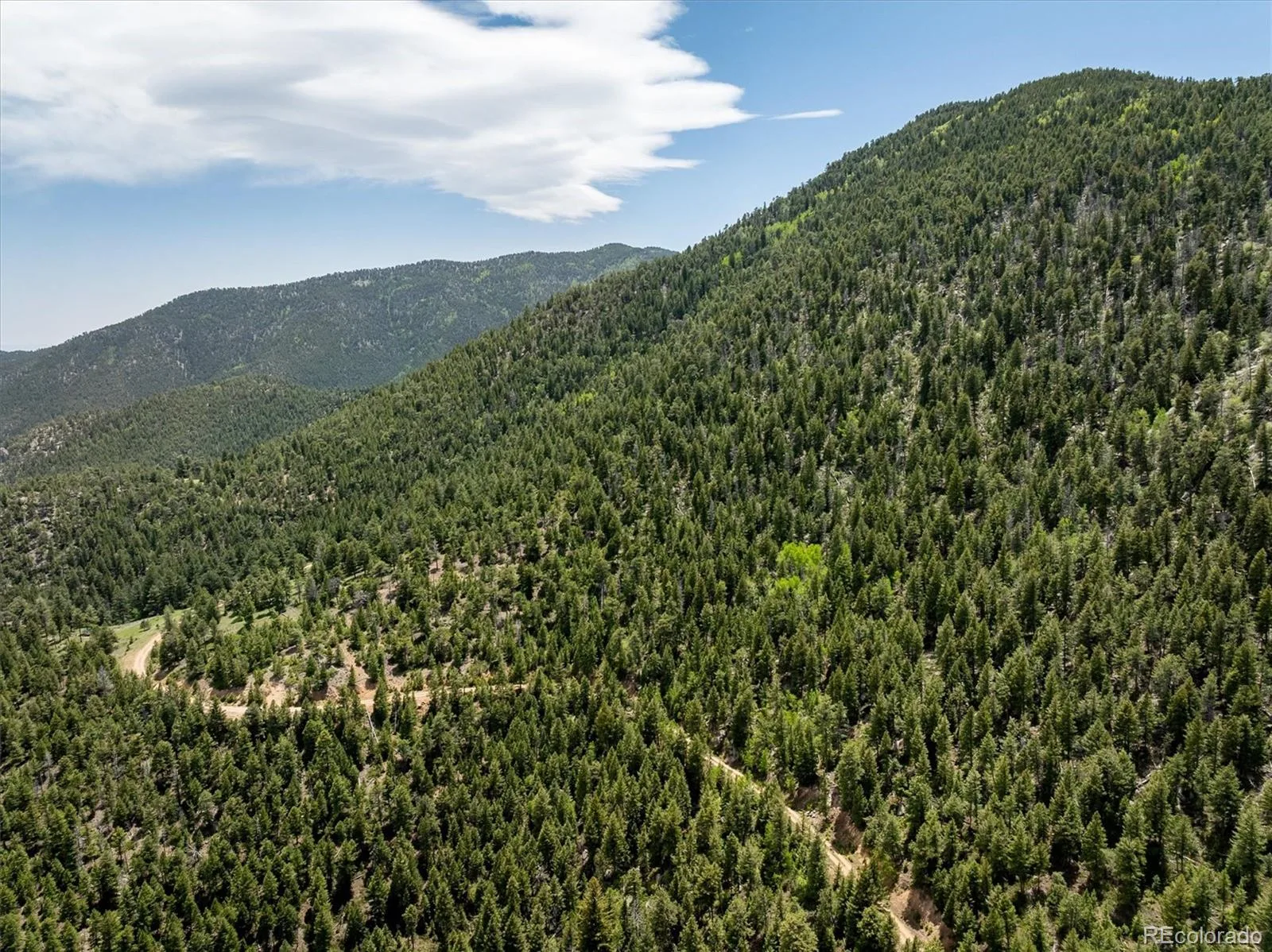 1259 Chute Road Golden CO 80403 | MLS #REC3141881 07082026221818 1600 15