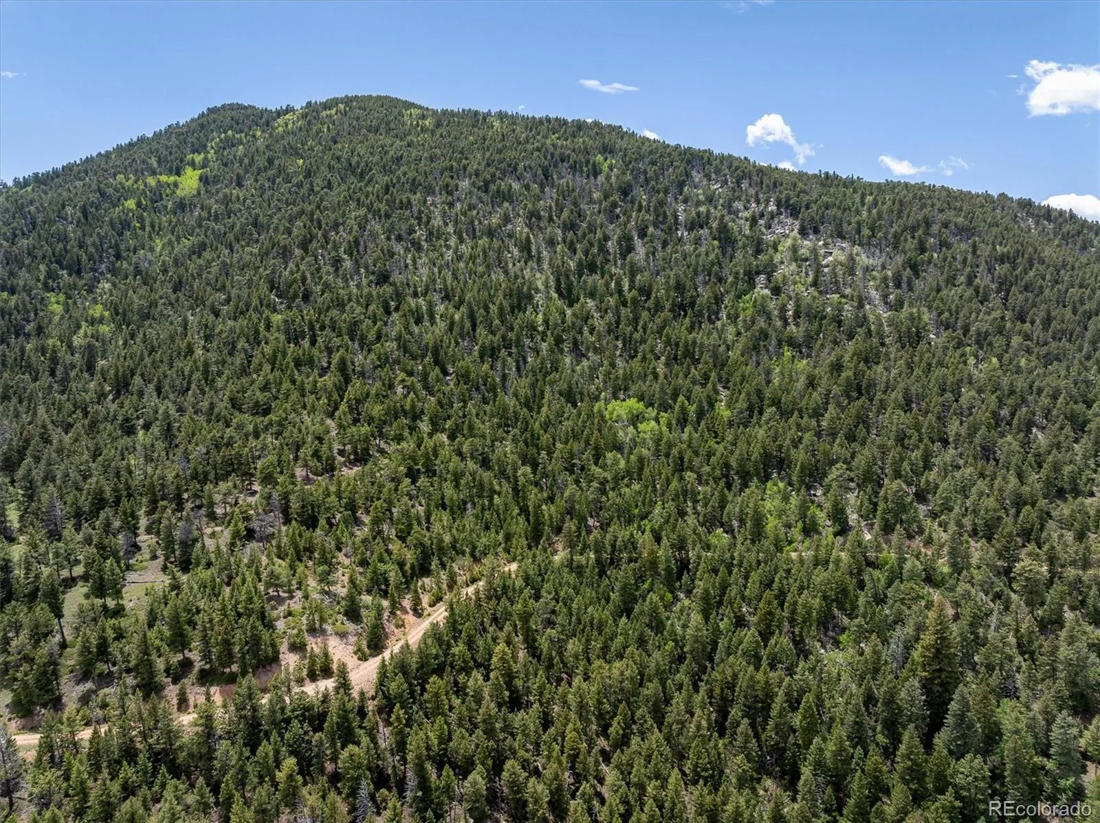 1259 Chute Road Golden CO 80403 | MLS #REC3141881 07082026221818 1600 16