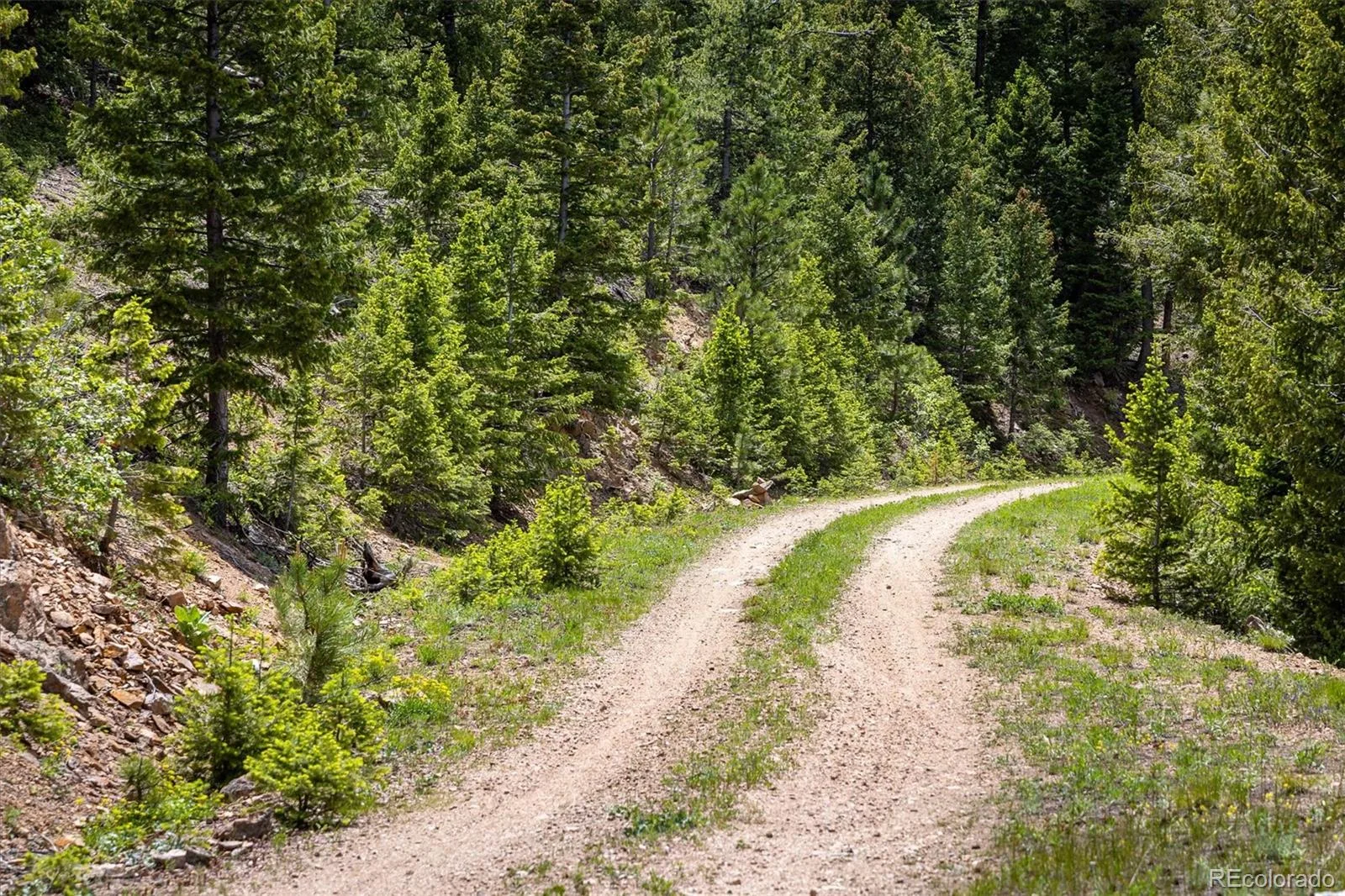 1259 Chute Road Golden CO 80403 | MLS #REC3141881 07082026221818 1600 2