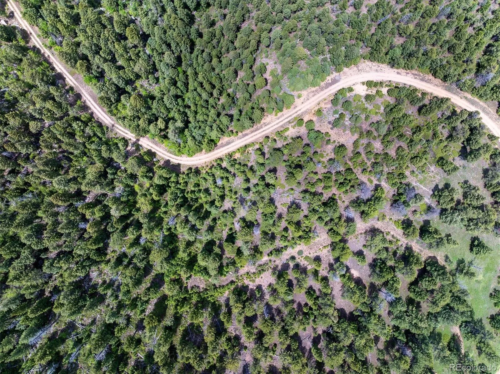 1259 Chute Road Golden CO 80403 | MLS #REC3141881 07082026221818 1600 20
