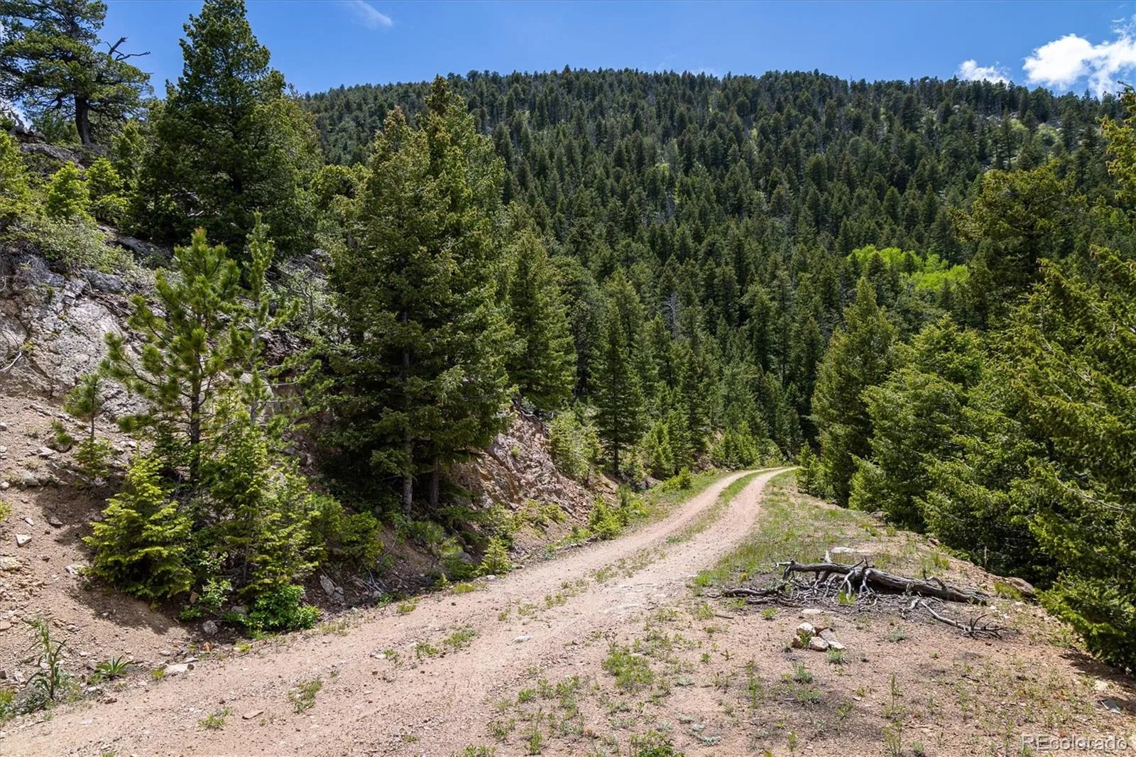 1259 Chute Road Golden CO 80403 | MLS #REC3141881 07082026221818 1600 3