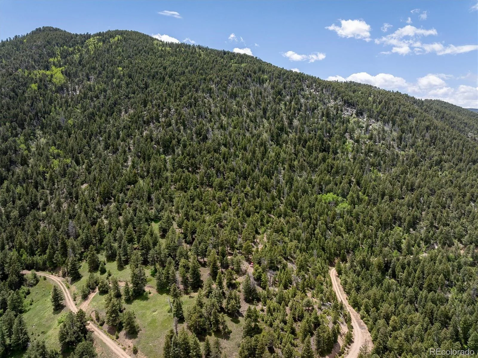 1259 Chute Road Golden CO 80403 | MLS #REC3141881 07082026221818 1600 9