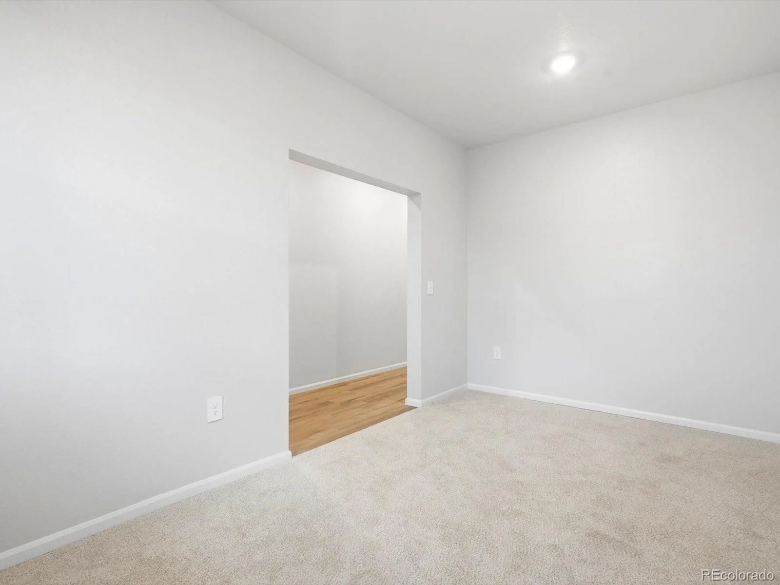 6902 Quail Avenue Firestone CO 80504 | MLS #REC3143932 08192026232719 1600 3