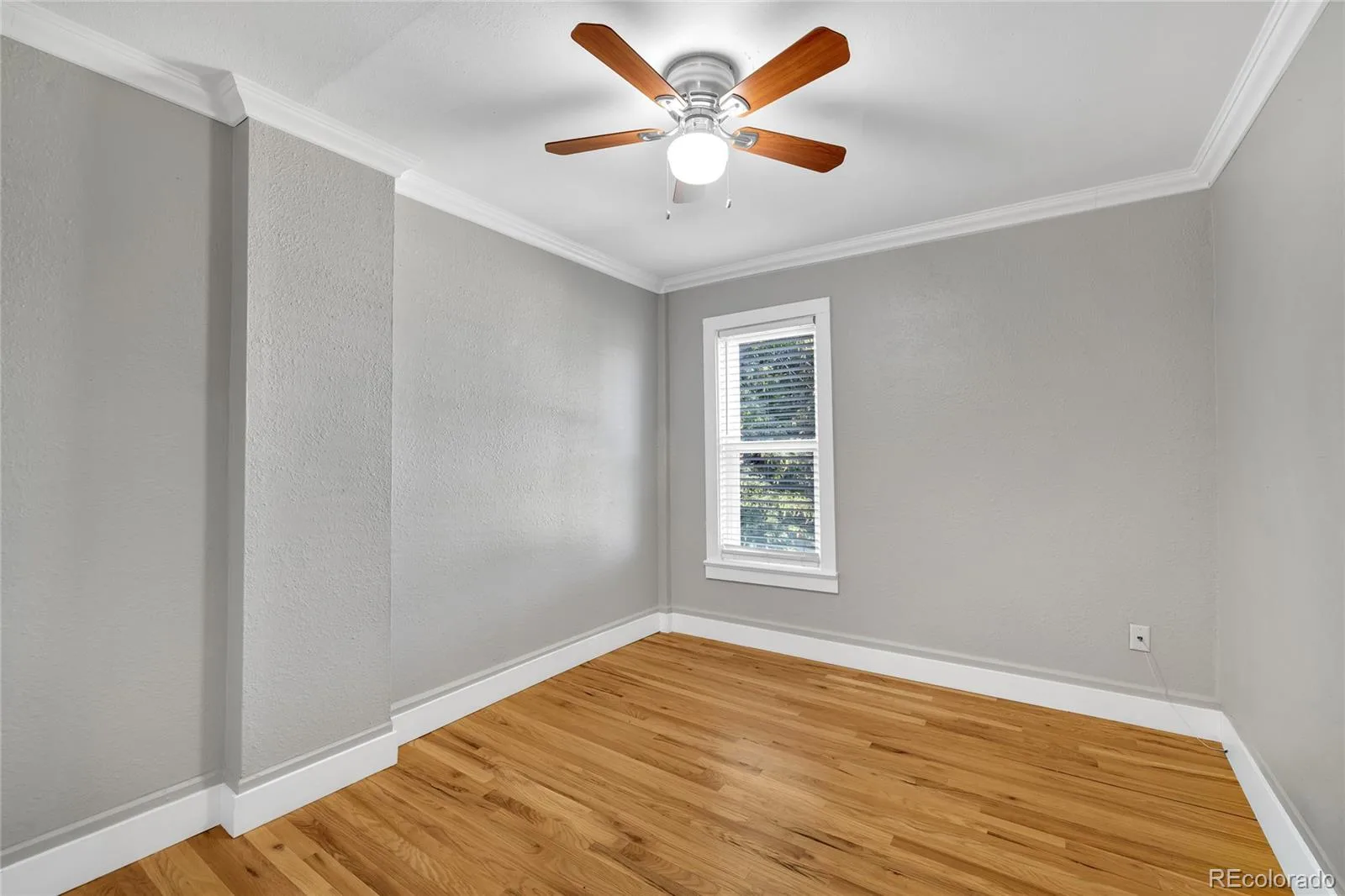 2545 N Lafayette Street Denver CO 80205 | MLS #REC3154170 07212026000456 1600 24