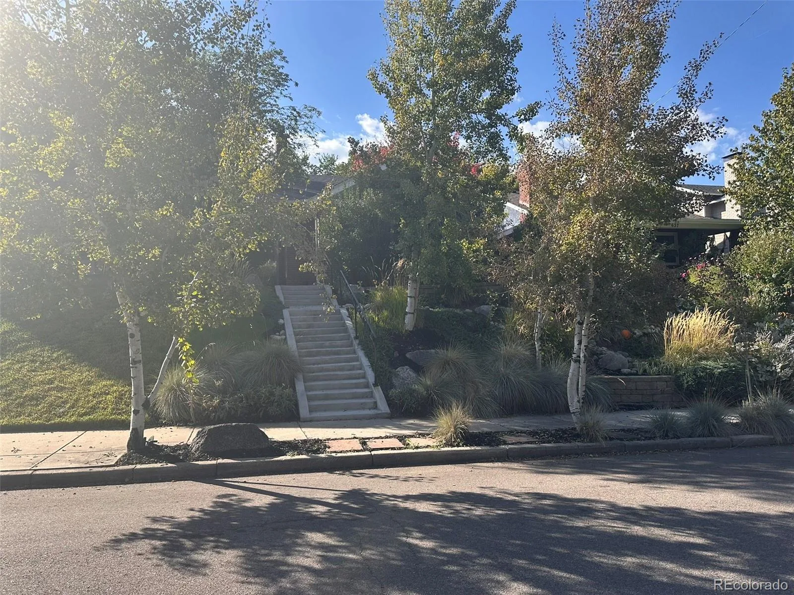 631 Jackson Street Denver CO 80206 | MLS #REC3155819 10102026143113 1600 33