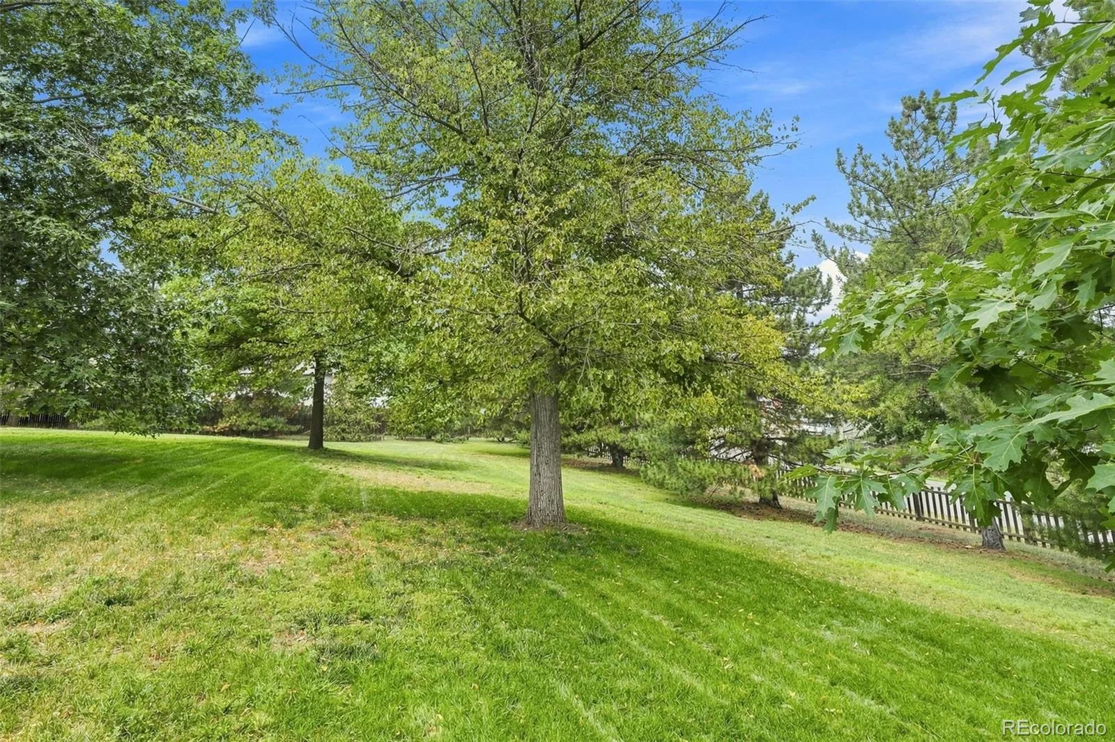 9748 Yukon Court Broomfield CO 80021 | MLS #REC3162900 08122026212831 1600 46