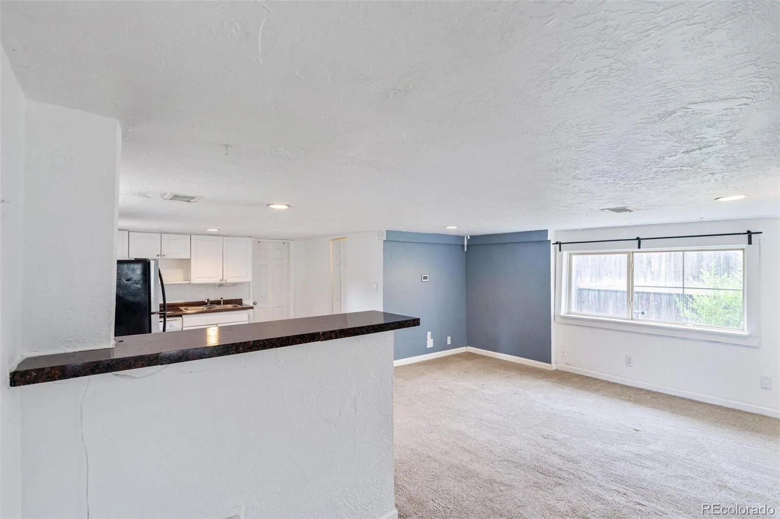 166 Newton Street Denver CO 80219 MLS #REC3165126 06092026001657 1600 5