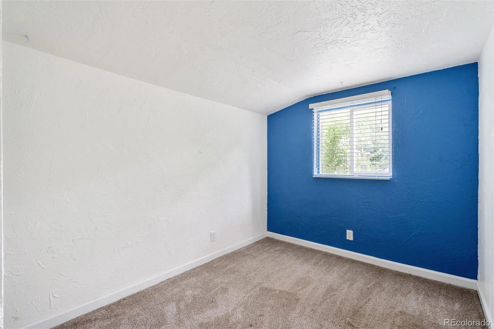166 Newton Street Denver CO 80219 | MLS #REC3165126 07032026161055 1600 5