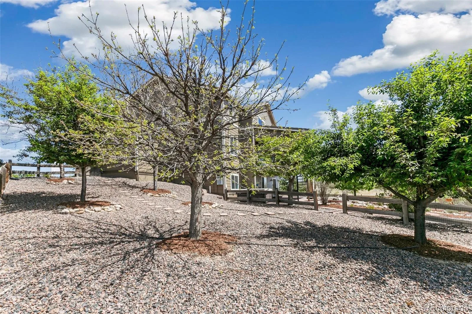 12099 Hazy Hills Drive Parker CO 80138 | MLS #REC3165926 08122026212838 1600 16