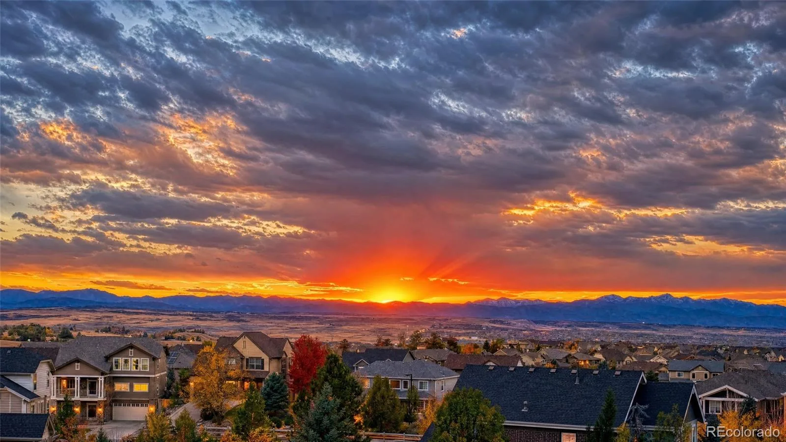 12099 Hazy Hills Drive Parker CO 80138 | MLS #REC3165926 08122026212838 1600 2