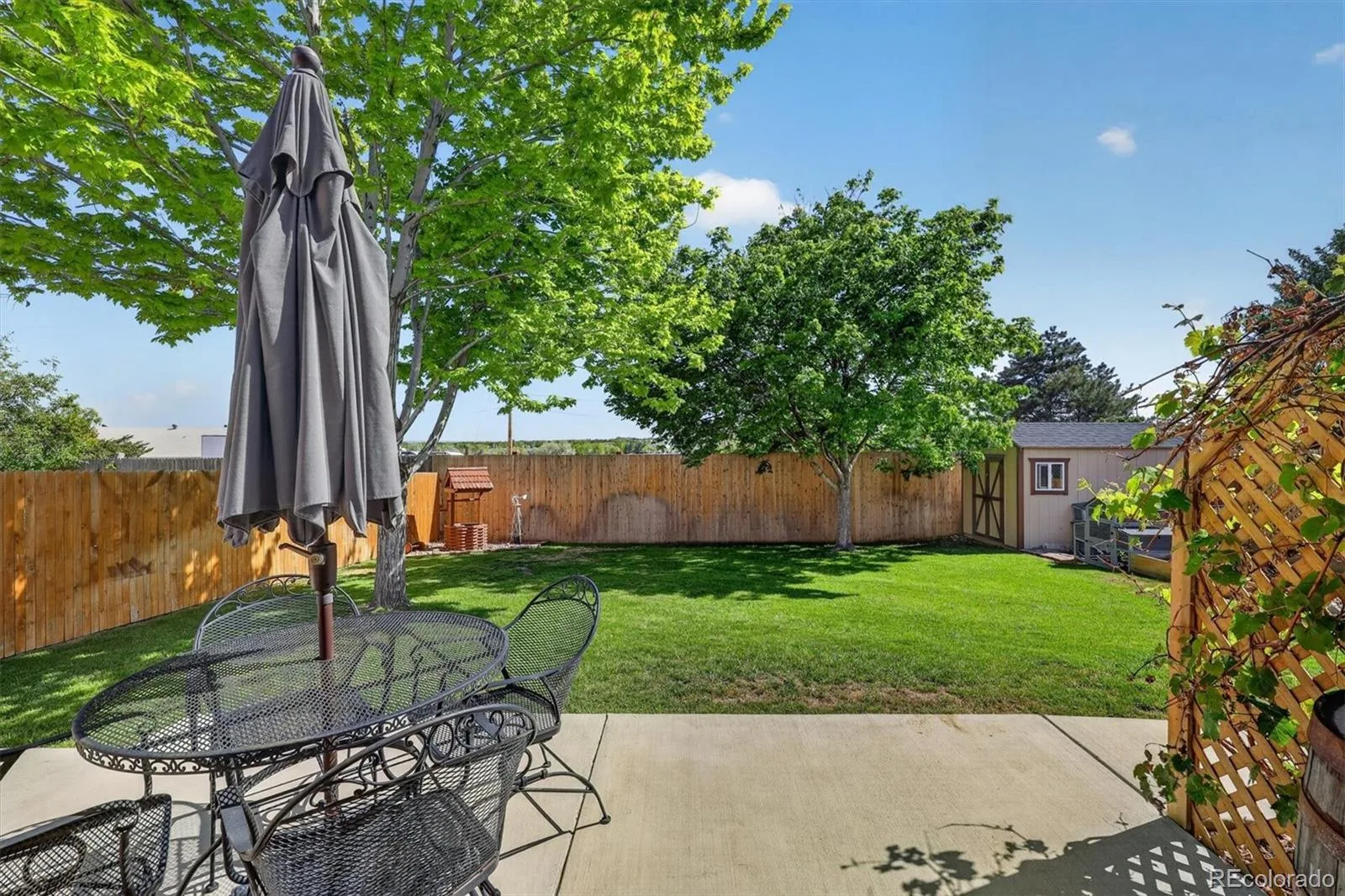 2354 E 116th Avenue Thornton CO 80233 MLS #REC3166177 06092026005110 1600 36