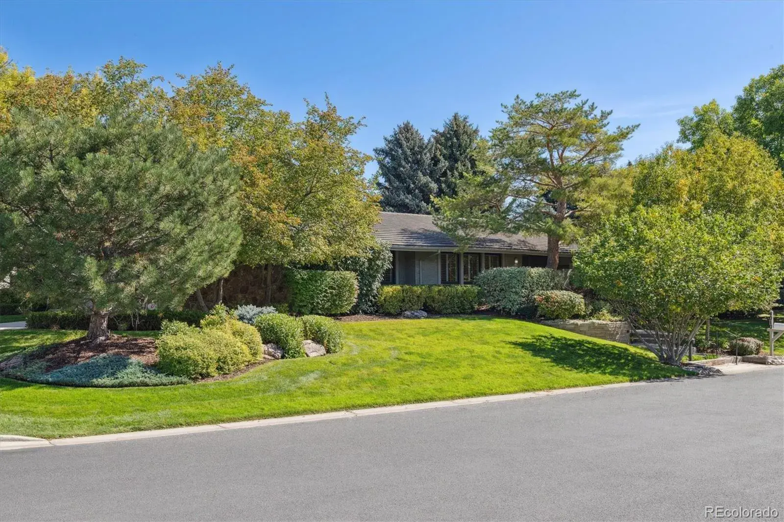 10032025043225 1600 0