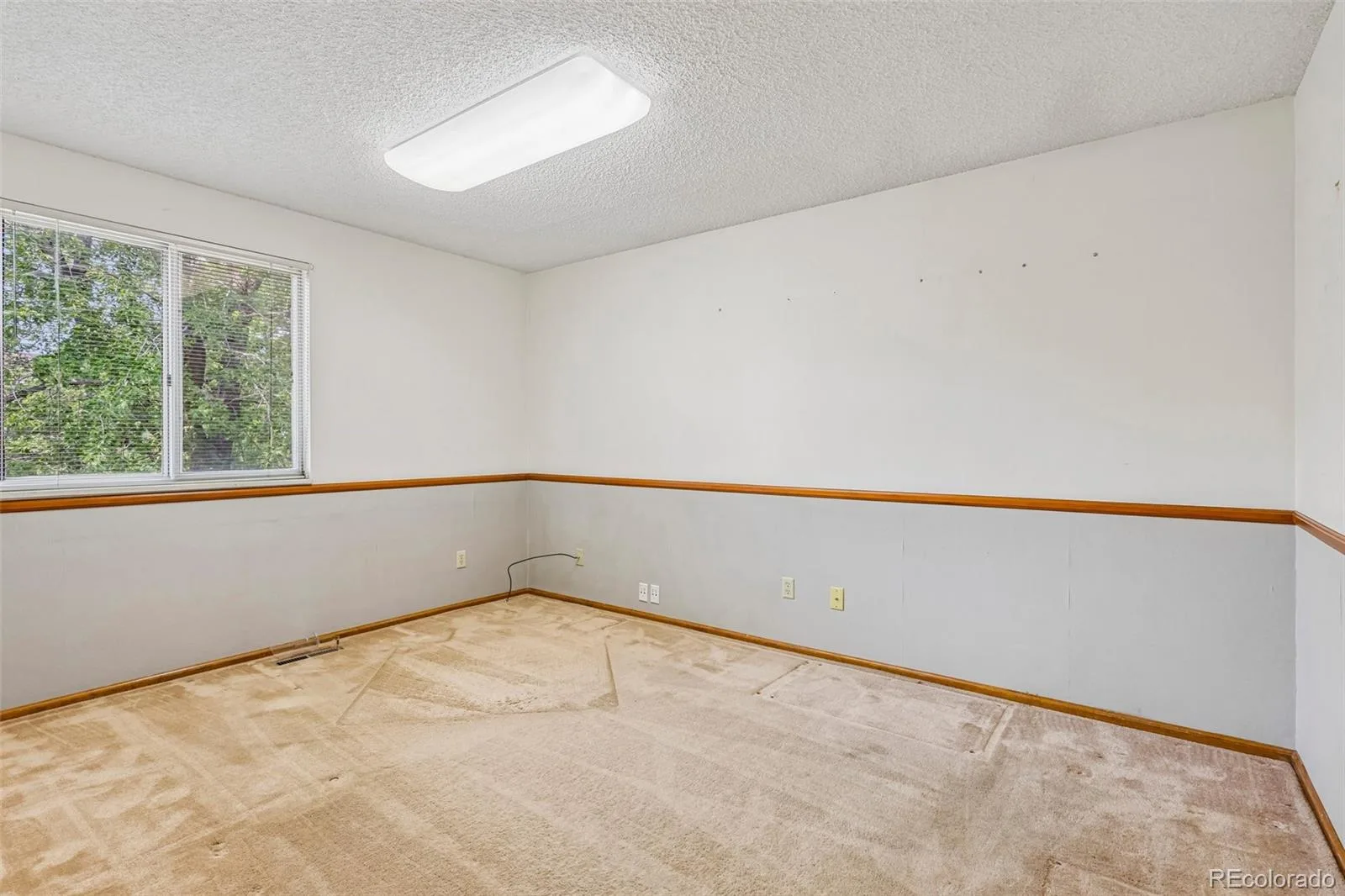 7521 S Downing Street Littleton CO 80122 MLS #REC3177404 07092026023857 1600 23