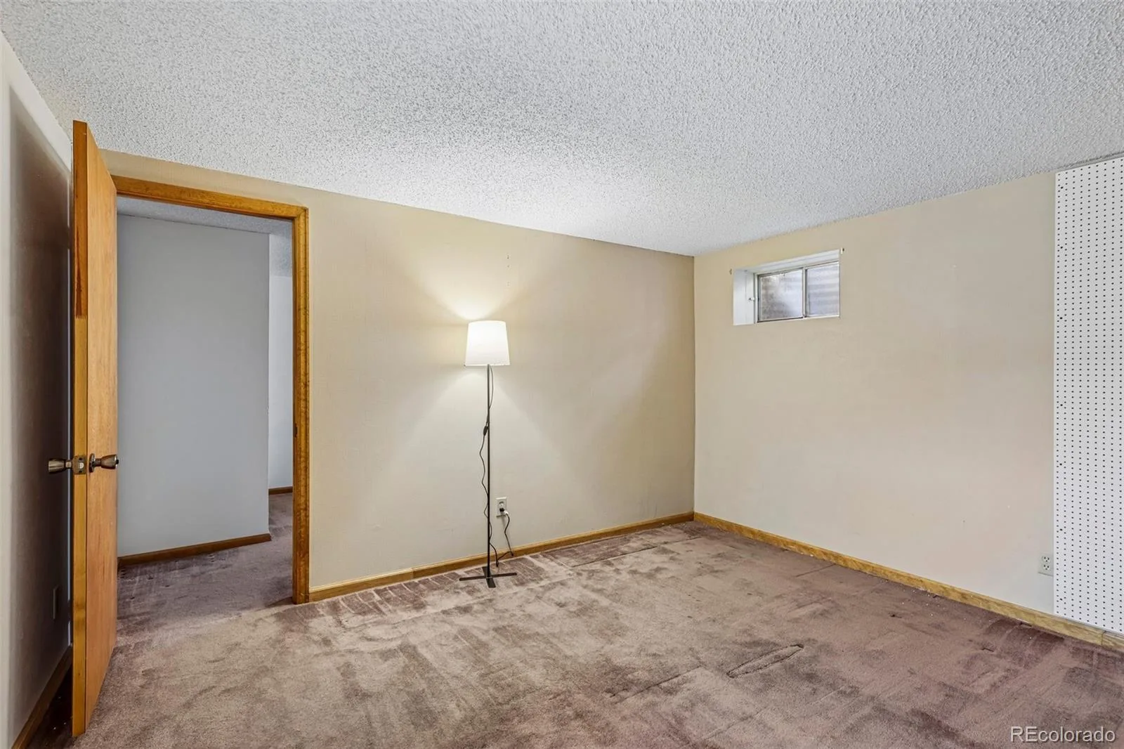 7521 S Downing Street Littleton CO 80122 MLS #REC3177404 07092026023857 1600 29