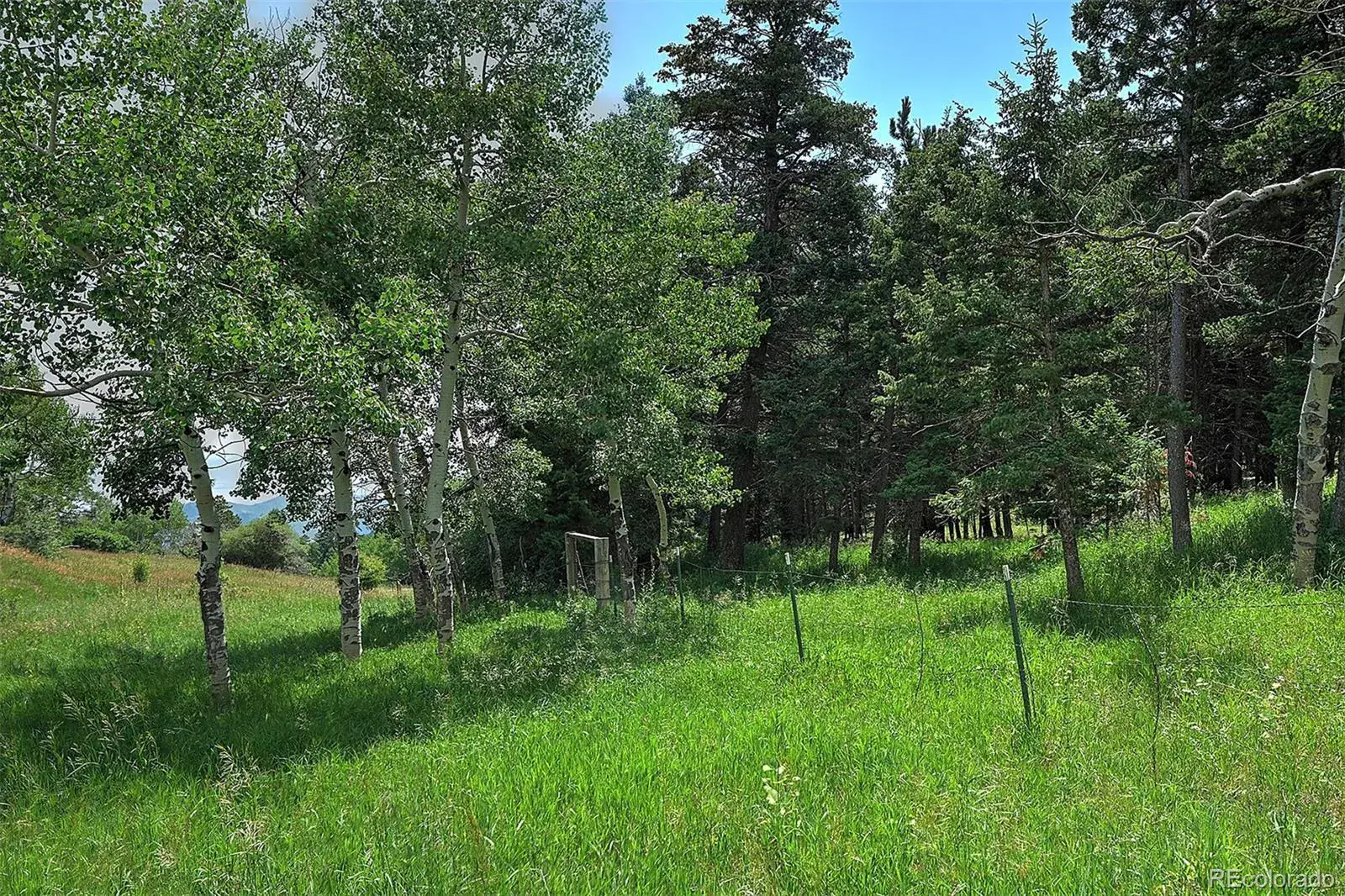 13884 N Trail Circle Littleton CO 80127 | MLS #REC3177567 07252025040752 1600 1