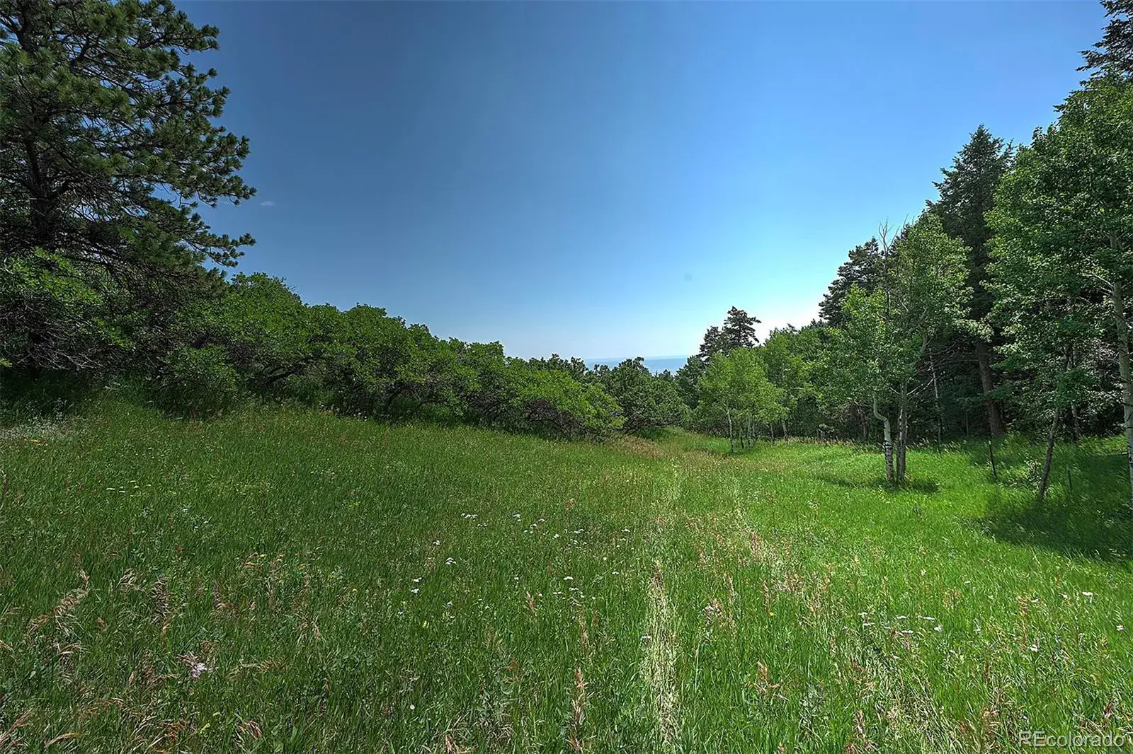 13884 N Trail Circle Littleton CO 80127 | MLS #REC3177567 07252025040752 1600 10