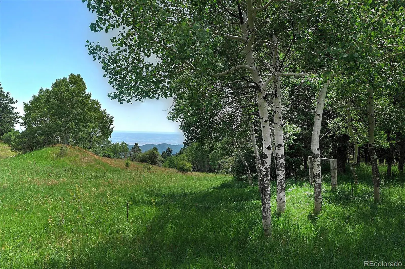 13884 N Trail Circle Littleton CO 80127 | MLS #REC3177567 07252025040752 1600 11