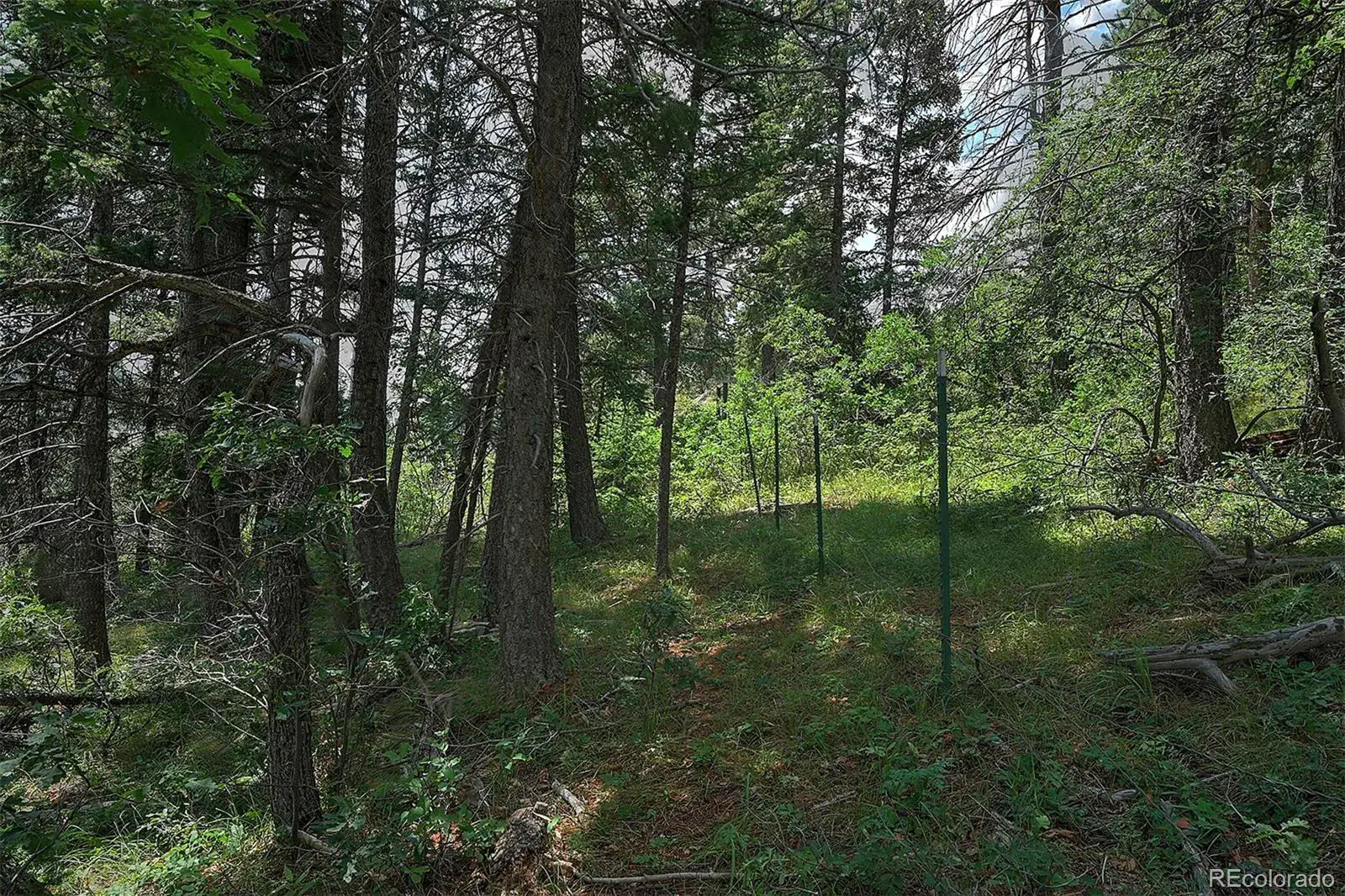 13884 N Trail Circle Littleton CO 80127 | MLS #REC3177567 07252025040752 1600 15