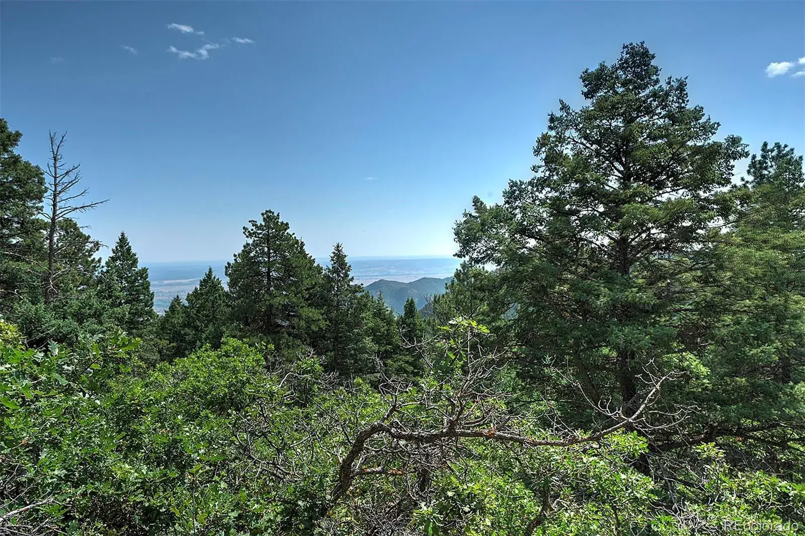 13884 N Trail Circle Littleton CO 80127 | MLS #REC3177567 07252025040752 1600 16