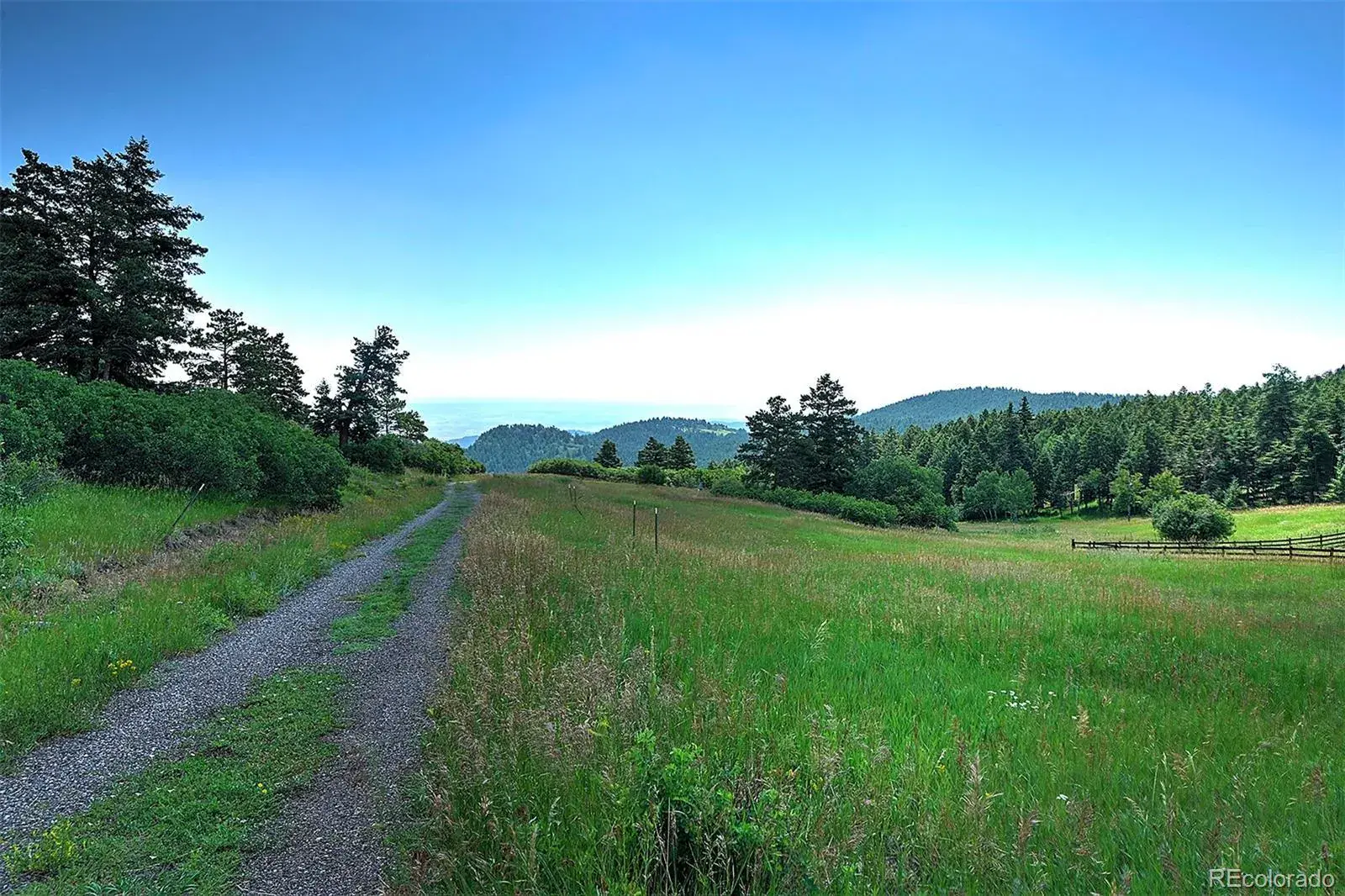 13884 N Trail Circle Littleton CO 80127 | MLS #REC3177567 07252025040752 1600 21
