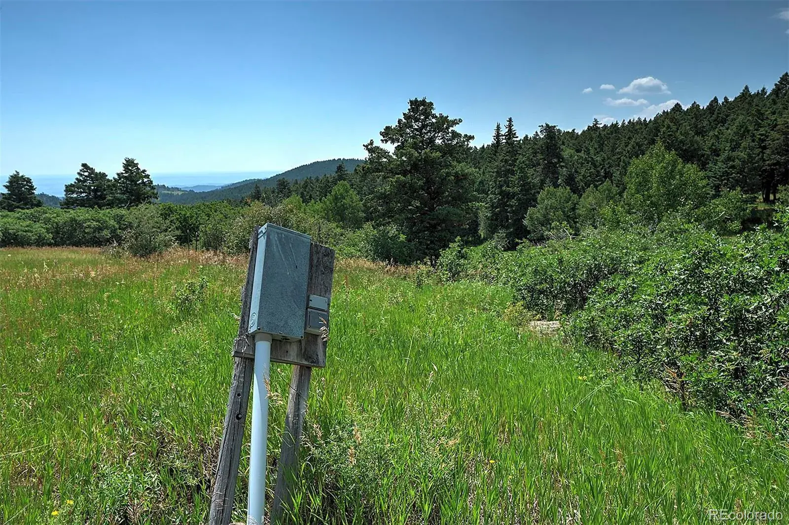 13884 N Trail Circle Littleton CO 80127 | MLS #REC3177567 07252025040752 1600 4